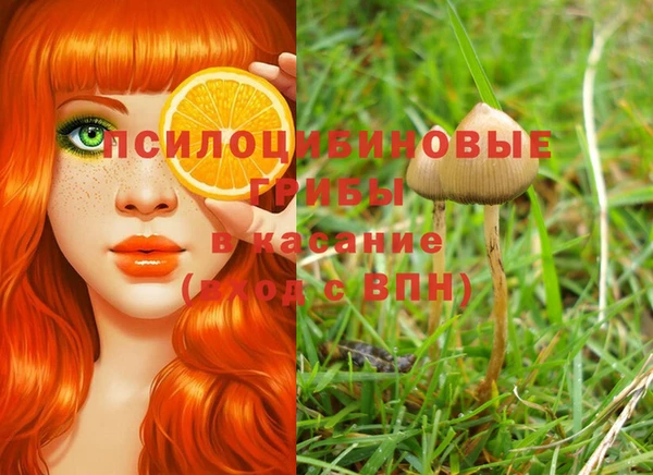 метамфетамин Богородицк