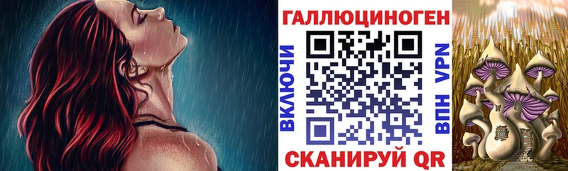 Купить где  Сегежа  Галлюциногенные грибы Psilocybine cubensis 